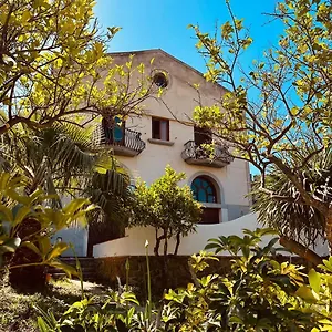 Tiche Cefalu